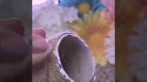 Как сделать вазу из стеклянной бутылки своими руками