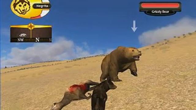маленький обзор игры WolfQuest смотреть онлайн