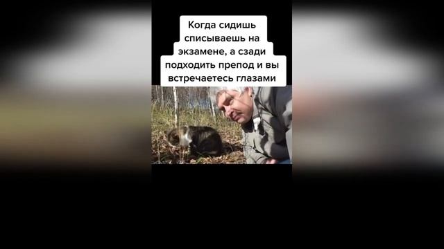 ЛУЧШИЕ ВИДЕО ПРИКОЛЫ ПРО ГЕННАДИЯ ГОРИНА ИЗ ТИКТОКА 2020 смотреть онлайн