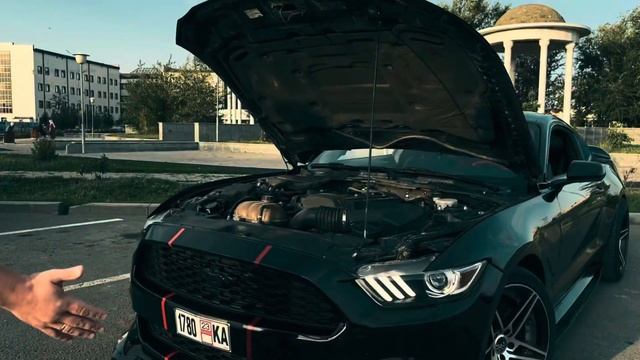 Ford mustang смотреть онлайн
