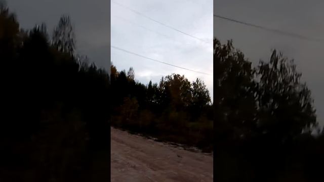 50. НИКОЛАЙ ШАМСУТДИНОВ смотреть онлайн