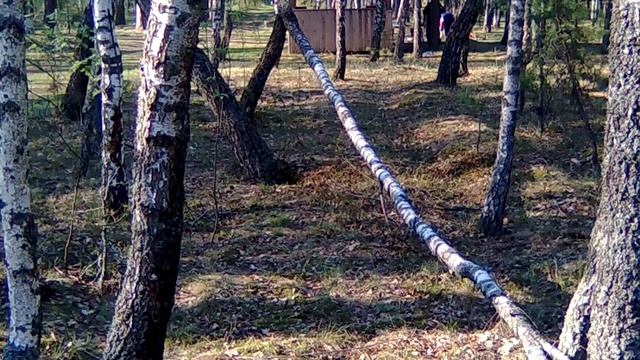 Лісова медитація смотреть онлайн