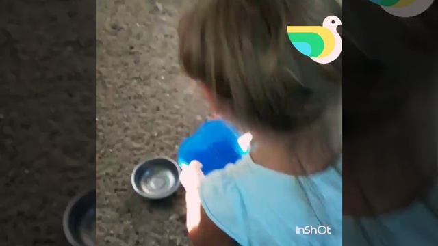Кормим Дрофу Красотку#день2 смотреть онлайн