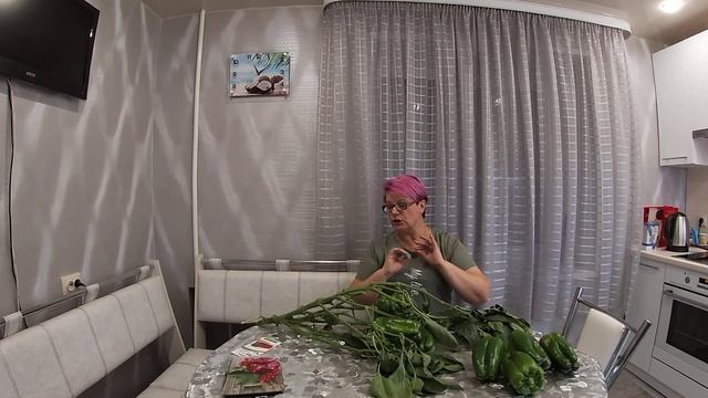 Перец сладкий ЛАМУЙО-рекордсмен по урожайности.11.08.2021 смотреть онлайн