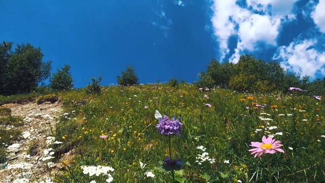 SVANETI (Грузия, Сванетия) смотреть онлайн