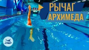 КАК ВКЛЮЧИТЬ СПИНУ ПРИ ПЛАВАНИИ КРОЛЕМ И ПОЙМАТЬ СКОЛЬЖЕНИЕ. РЫЧАГ АРХИМЕДА