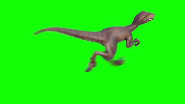 Бесплатная анимация Динозавр Велоцираптор Футаж для монтажа Хромакей смотреть онлайн
