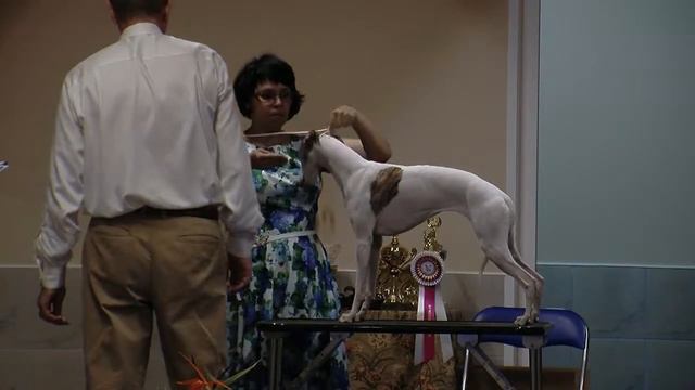 Anahita Arva First Queen Adela смотреть онлайн