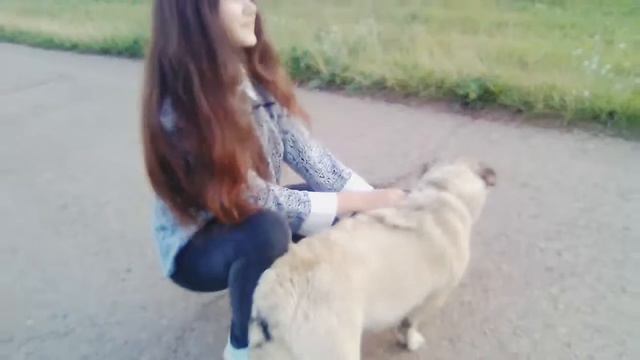 Клип Хулиганка смотреть онлайн