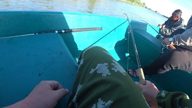 Рыбалка в Дельте Волги в июне. Ловим окуня на воблер и сома на квок смотреть онлайн