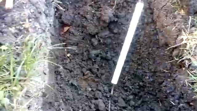 Обновление виноградного куста с помощью подземного отводка . смотреть онлайн