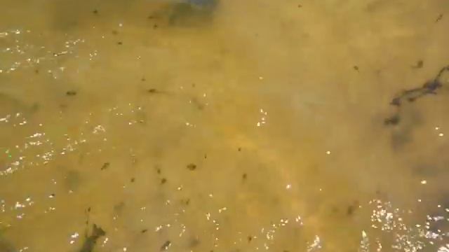 Отдых на природе с гамаками #hammockveloturist смотреть онлайн