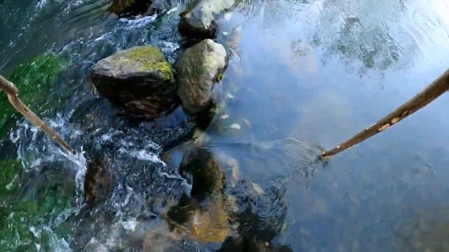 Пешком в Сергиев Посад, в Лавру. 1-й день смотреть онлайн