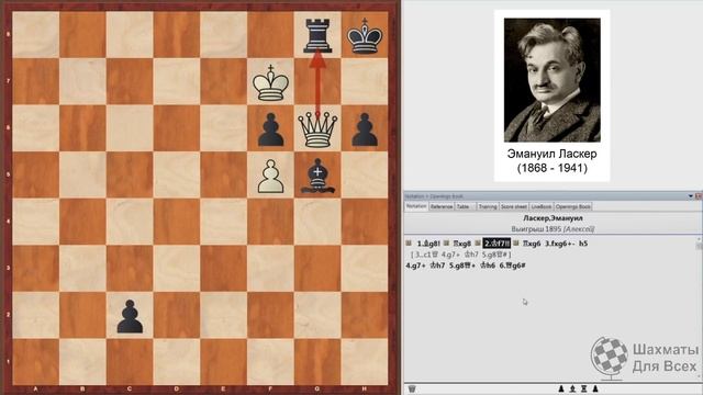 ХИТРЫЙ ЭТЮД Эмануила Ласкера! Шахматы