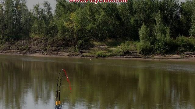 Ловля сома на 500кг и 400кг смотреть онлайн