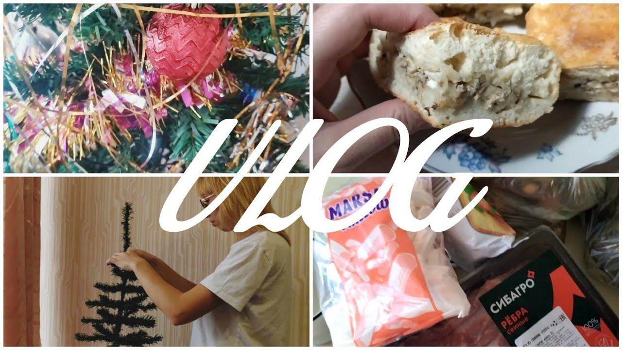 VLOG ❄️НОВОГОДНЕЕ НАСТРОЕНИЕ☃️ПОСТАВИЛА ЁЛКУ ПИРОГ С РЫБОЙБЮДЖЕТНЫЕ ПОКУПКИ НА WILDBERRIES смотреть онлайн