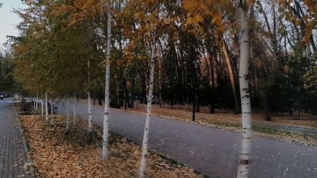 Проект ПроШоу Продюсер "Осенние зарисовки" смотреть онлайн