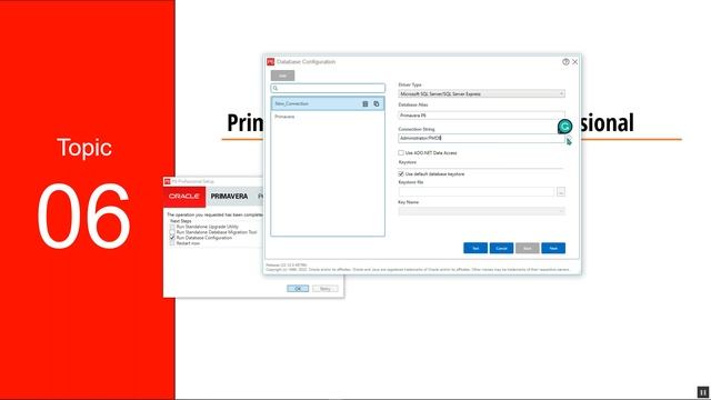 Part 8: Oracle Primavera P6 Prof and EPPM Linking смотреть онлайн