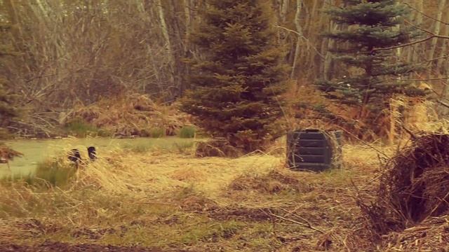 EXPEDITION HAPPINESS | A Shortfilm in Sherwood Park, Alberta, Canada смотреть онлайн