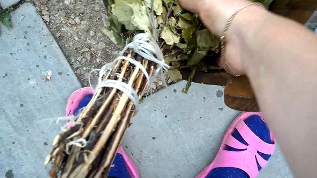 как правильно заварить березовый веник для бани смотреть онлайн