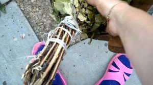 как правильно заварить березовый веник для бани