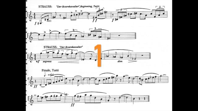 ORCHESTRAL EXCERPT for FRENCH HORN 48: R. Strauss. Der Rosenkavalier смотреть онлайн