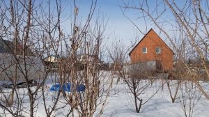 25 марта 2023 г. Почему плохо растёт груша? Одна из причин.