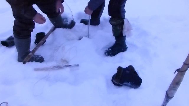 Щука не лезет в лунку на 150, пришлось распешивать... смотреть онлайн