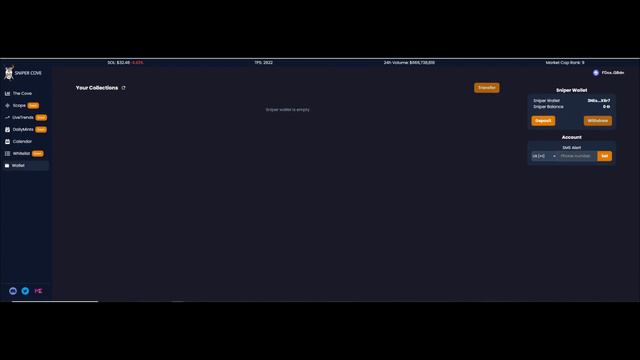 Альфа коллы+снайп+календарь минтов за 0.9 SOL!/Обзор проекта Sniper Cove / Akeo Labs смотреть онлайн