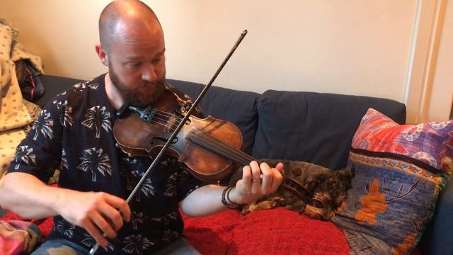 Fergal Scahill's fiddle tune a day 2017 - Day 207 - Harvest Home смотреть онлайн