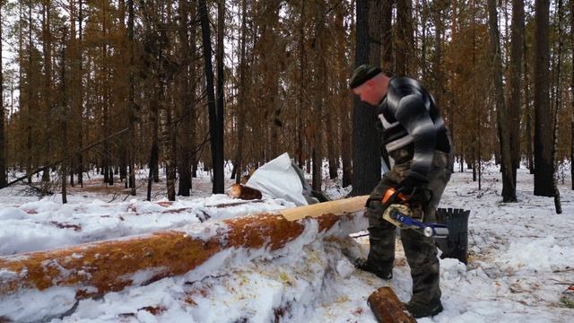 Кородёр - Шкуродёр. Насадка на бензопилу кородёр. Штиль180. Как быстро ошкурить бревно. смотреть онлайн