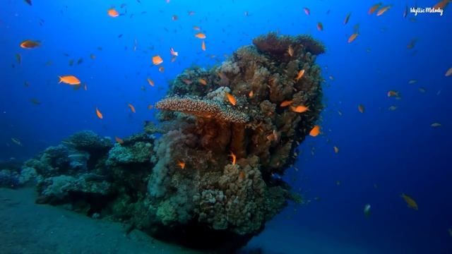 Dormirse en menos de 5 MINUTOS | ︎Eliminar la Negatividad Subconsciente | Remover Bloqueos Mentales смотреть онлайн