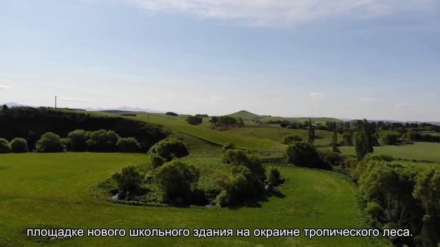 Огромную моль нашли в Австралии. Ее размах крыльев — 25 см смотреть онлайн