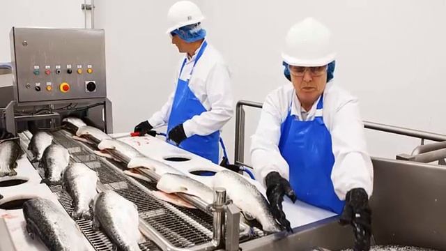 Работа в Москве для граждан СНГ без опыта работы смотреть онлайн