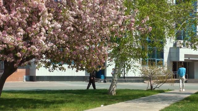 Весна в городе. Оренбург. смотреть онлайн