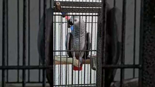 зарабатывает условно досрочное... смотреть онлайн