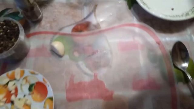 Чистка с безупречным блеском