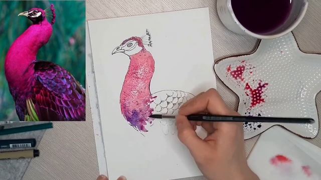 Как нарисовать павлина? смотреть онлайн