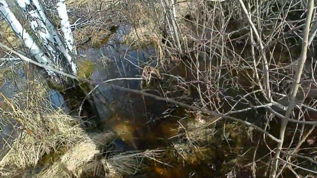 Весенняя история! Кто-кого? Охота на весеннего селезня! смотреть онлайн