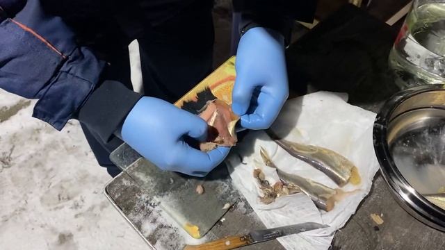 Пробую Сюрстрёминг #surstromming #surströmming смотреть онлайн