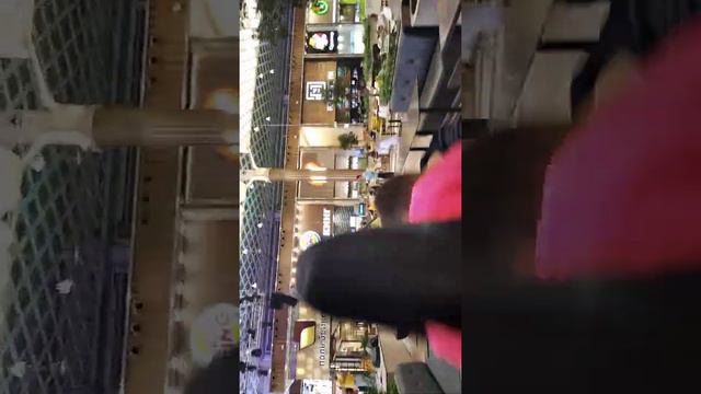 1 Сентября 2022 Кавер группа в Меге поет Лагутенко / Вертикальное видео. неожиданно смотреть онлайн