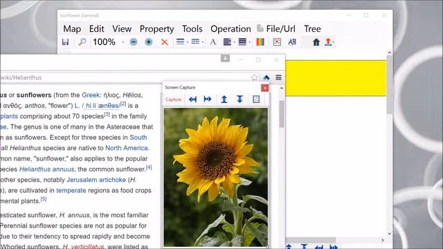 Screen capture image for node inside visual map | ResearchMaker смотреть онлайн