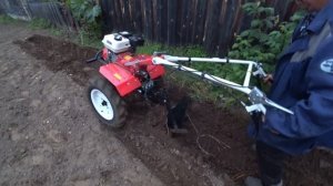 Первый опыт | Пашем плугом мотоблок BRAIT BR-135GA (7 л.с.) | Купили не настраиваемый плуг