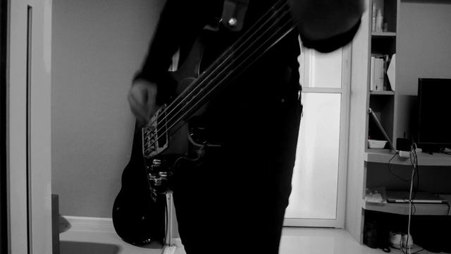 Rammstein - Mein Herz brennt (Bass Cover) смотреть онлайн