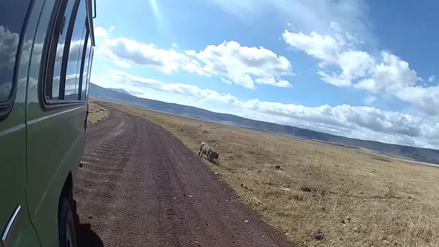 TANZANIA - ZANZIBAR 2015 смотреть онлайн