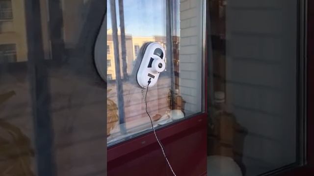 Робот мойщик окон в аренду в Новосибирске,8-913-921-2232 смотреть онлайн
