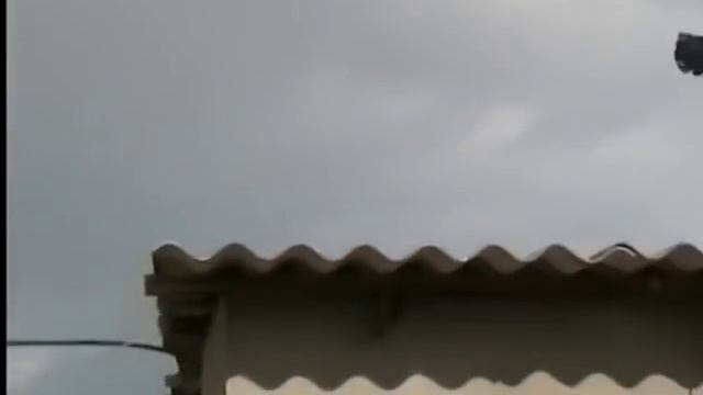 НИКОЛАЕВСКАЯ БАБОЧКА /pigeons/ ГОЛУБЯТНЯ ВОВЫ КЕРЧЕНСКОГО (1) смотреть онлайн