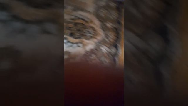 Едет школьный автобус на заправку от технопарке смотреть онлайн