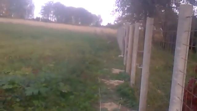 Красивый забор, 50 метров за 15 тыс. руб. смотреть онлайн