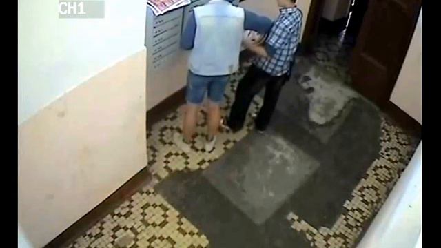 01.08.2013 в 13:44 нагадили в третьем подъезде дома по адресу Шмитовский пр., д. 19 смотреть онлайн